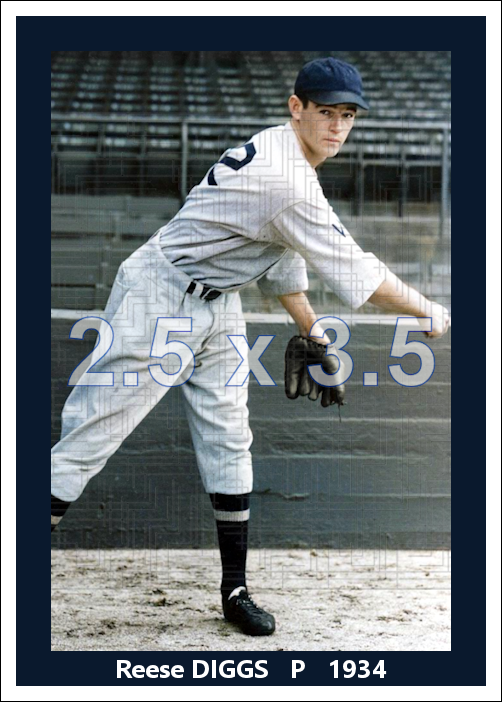 Reese Diggs - 1934 Washington Senators - choose a size & style
