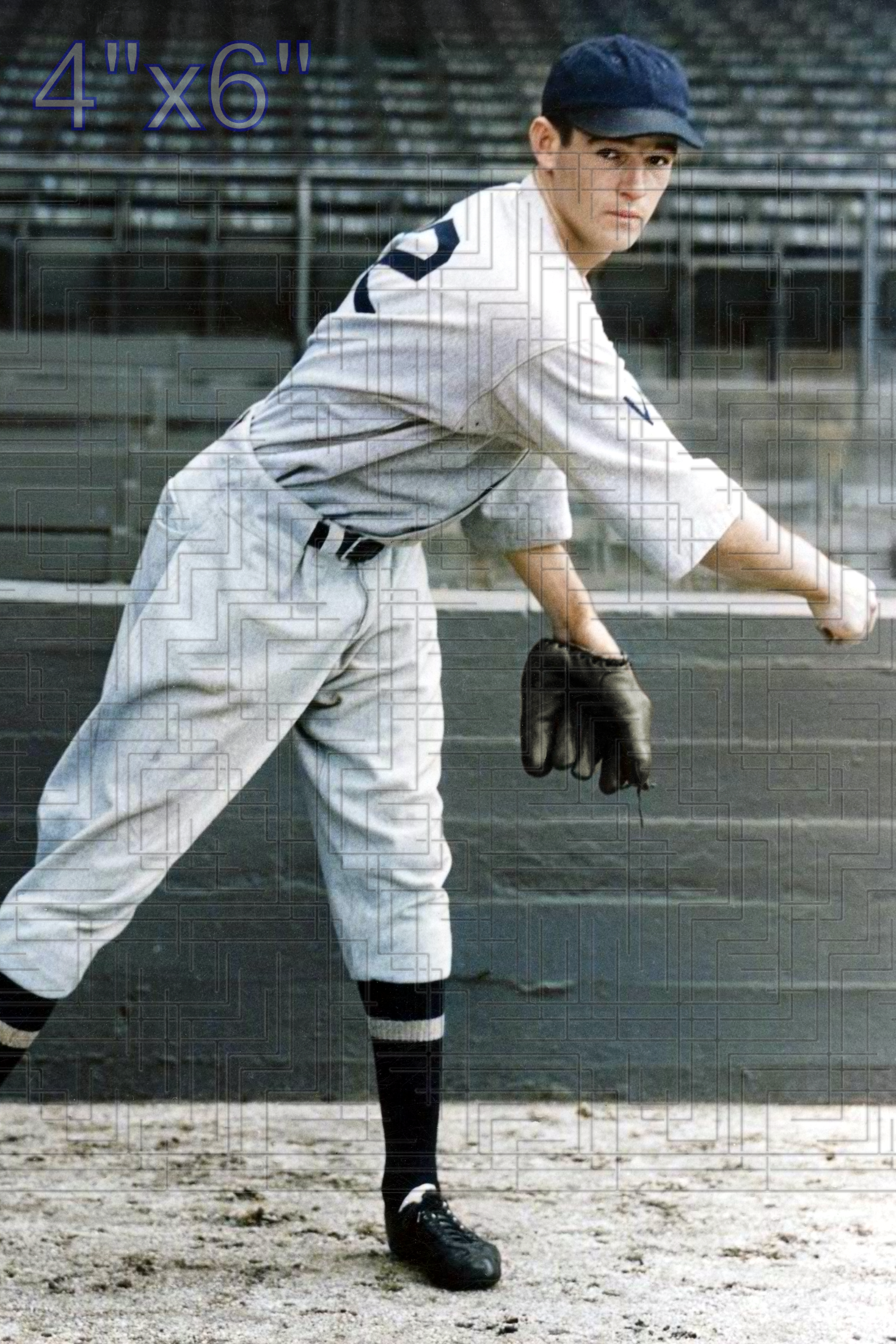 Reese Diggs - 1934 Washington Senators - choose a size & style