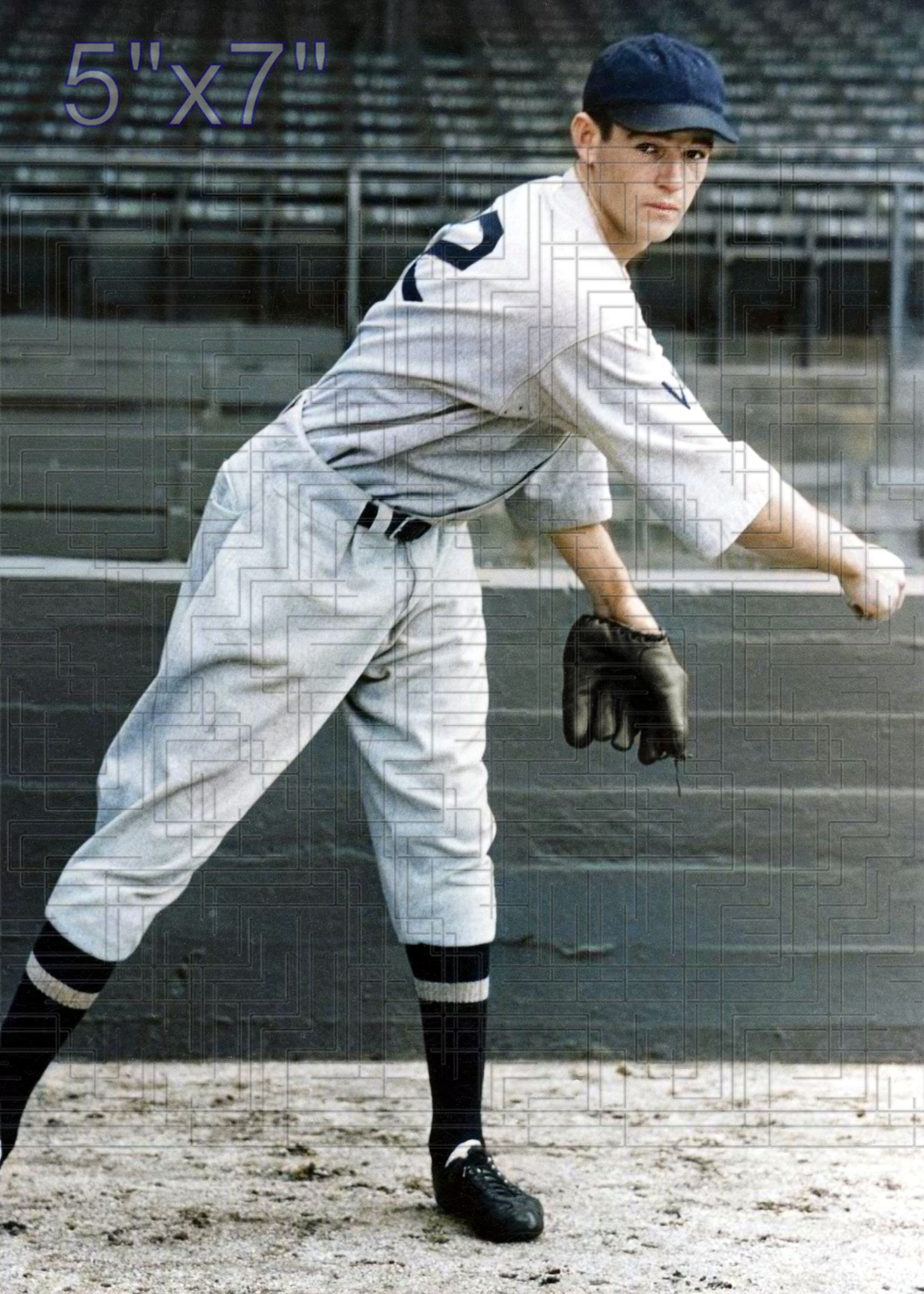 Reese Diggs - 1934 Washington Senators - choose a size & style