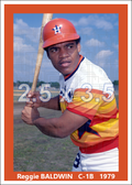 Reggie Baldwin - 1979 Houston Astros - choose a size & style