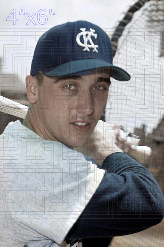 Reno Bertoia - 1961 Kansas City Athletics - choose a size & style