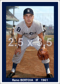 Reno Bertoia - 1961 Detroit Tigers - choose a size & style