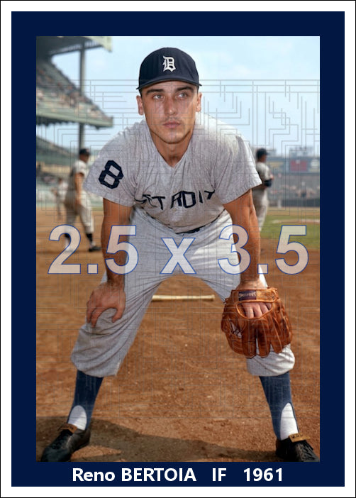 Reno Bertoia - 1961 Detroit Tigers - choose a size & style