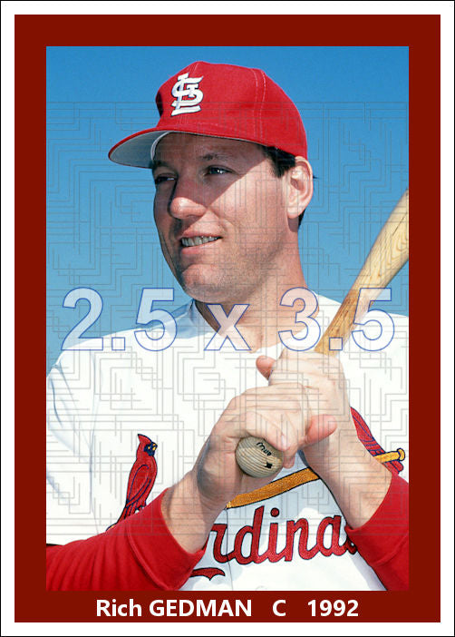 Rich Gedman - 1992 St. Louis Cardinals - choose a size & style