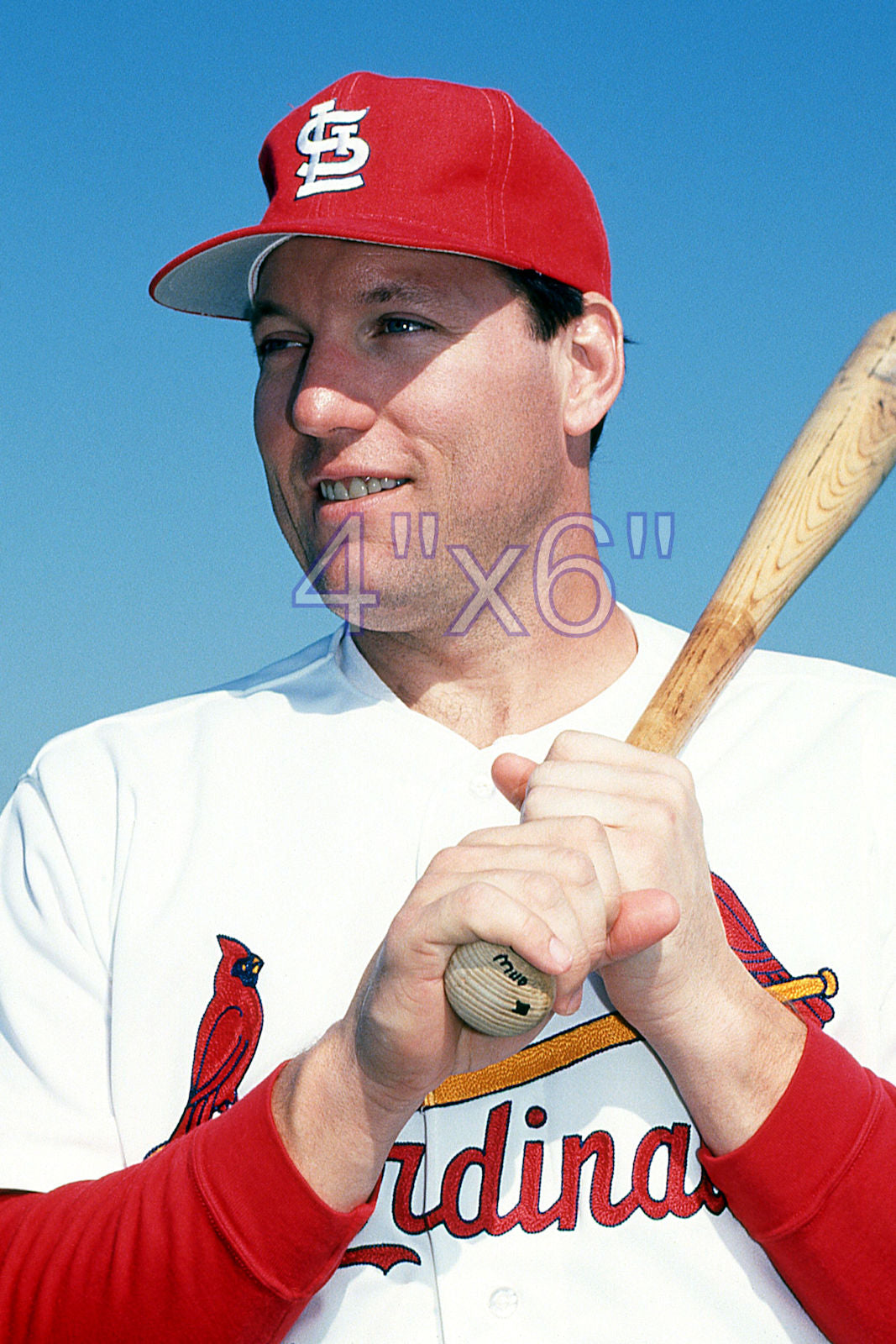Rich Gedman - 1992 St. Louis Cardinals - choose a size & style