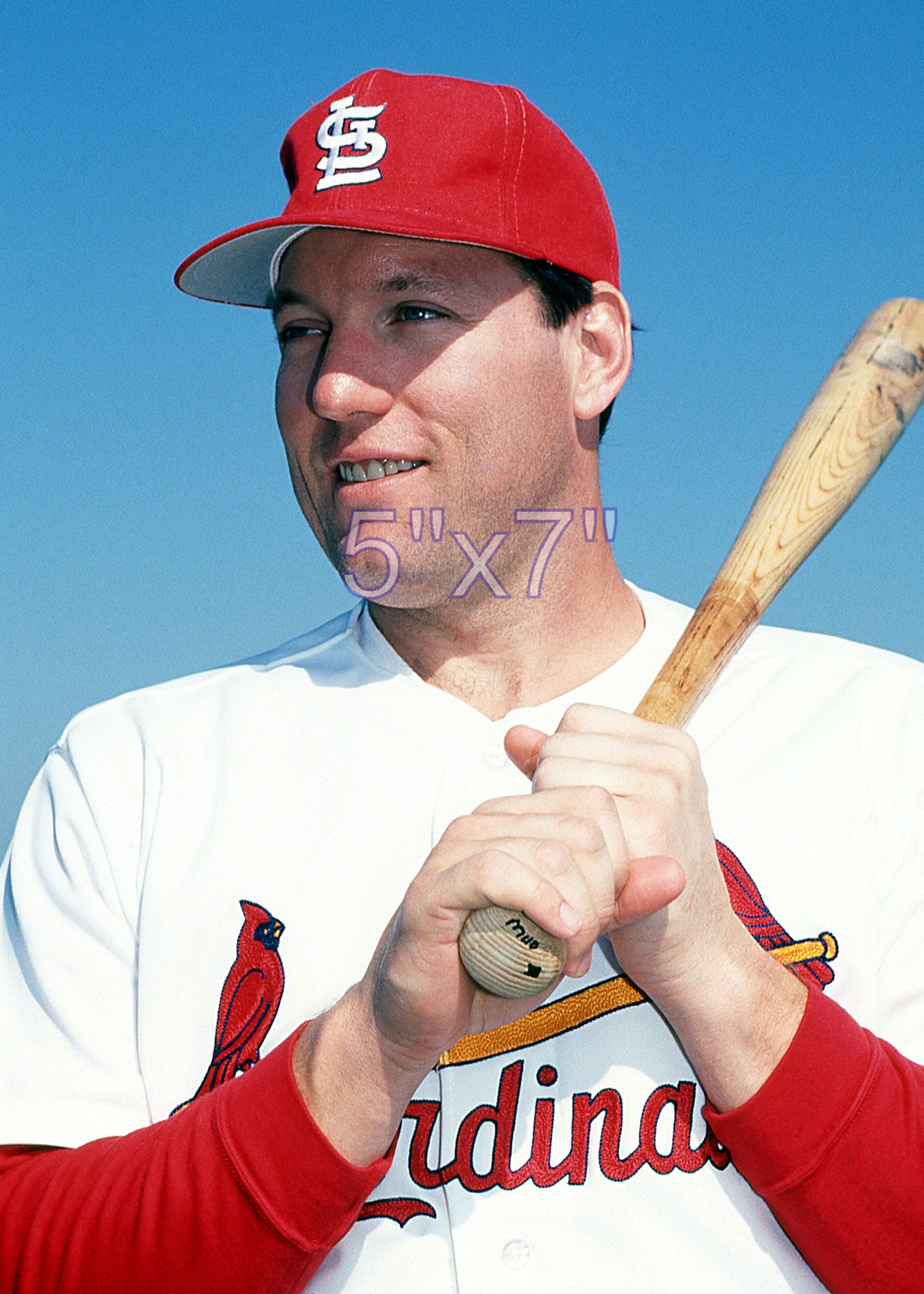 Rich Gedman - 1992 St. Louis Cardinals - choose a size & style