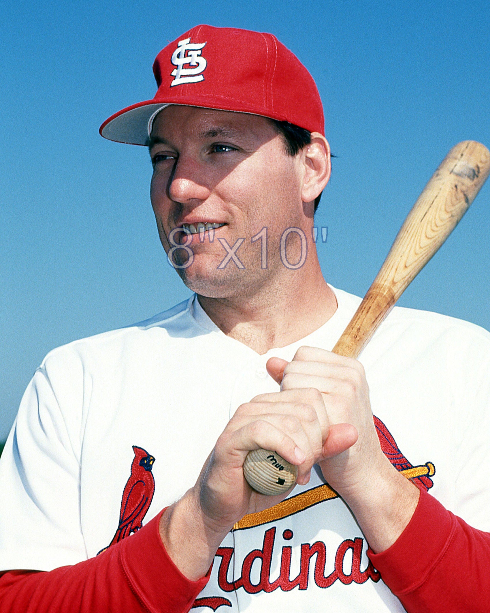 Rich Gedman - 1992 St. Louis Cardinals - choose a size & style