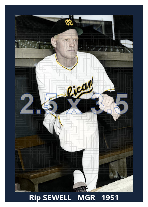 Rip Sewell - 1951 New Orleans Pelicans - choose a size & style