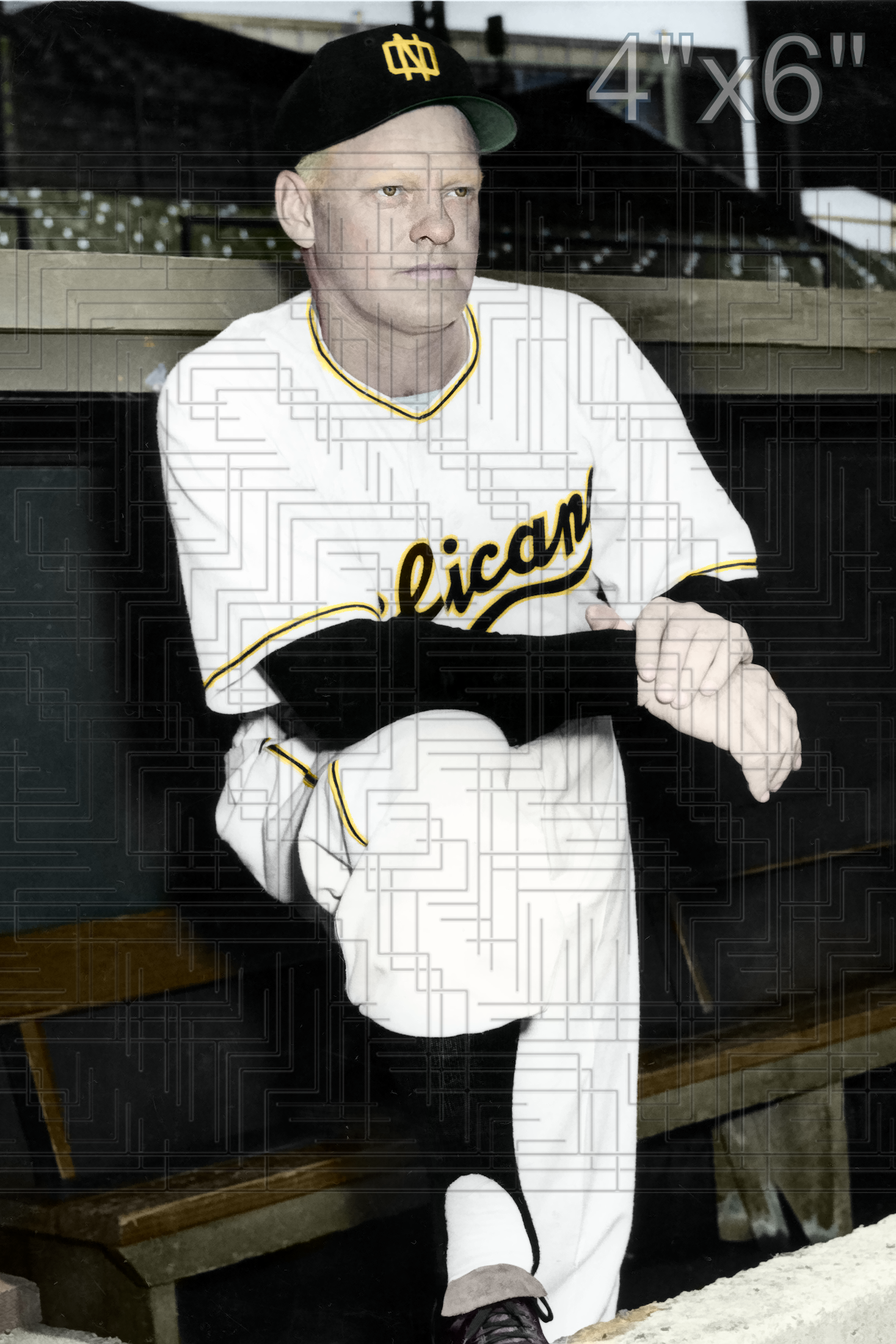 Rip Sewell - 1951 New Orleans Pelicans - choose a size & style