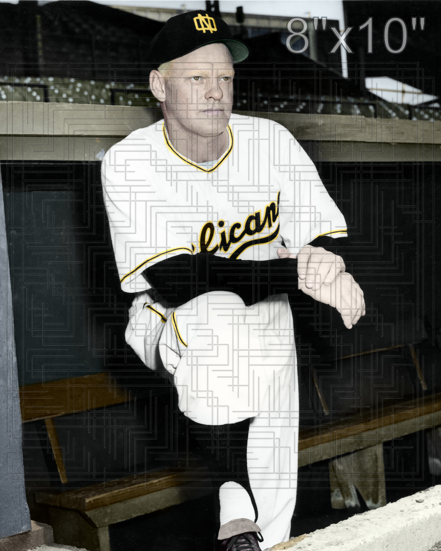Rip Sewell - 1951 New Orleans Pelicans - choose a size & style