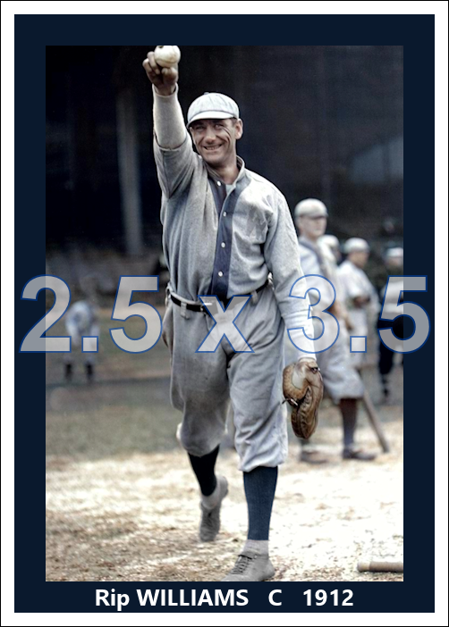 Rip Williams - 1912 Washington Senators - choose a size & style