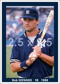 Rob Sepanek - 1988 New York Yankees spring training - choose a size & style