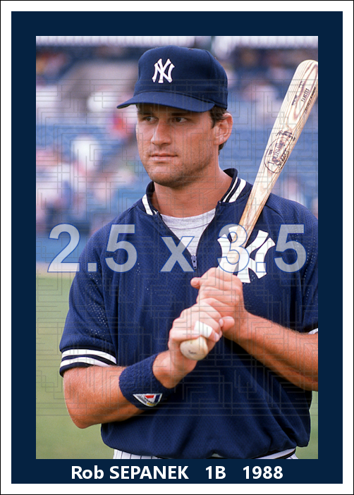 Rob Sepanek - 1988 New York Yankees spring training - choose a size & style