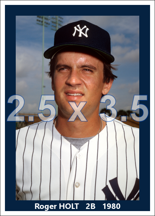 Roger Holt - 1980 New York Yankees - choose a size & style
