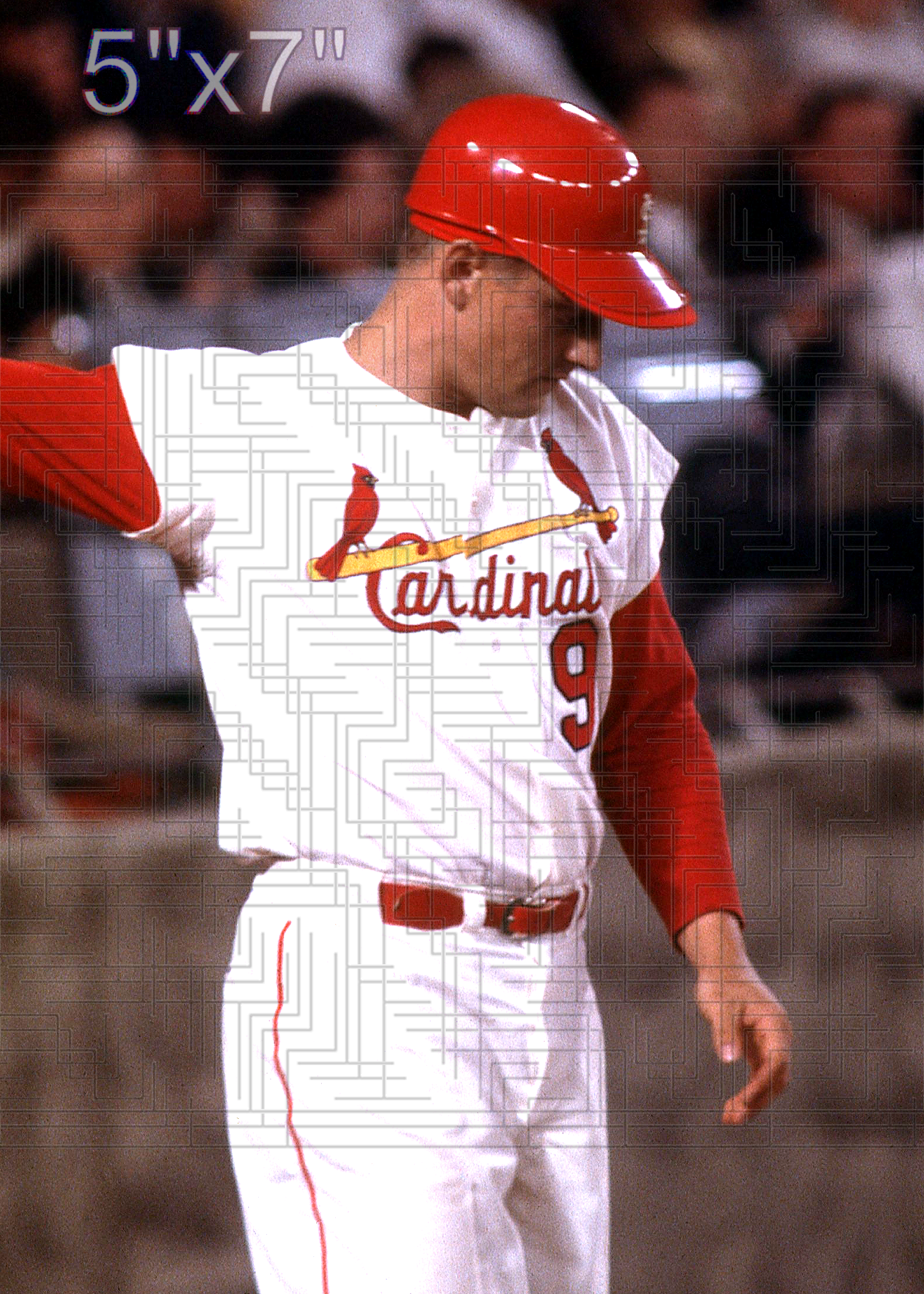 Roger Maris - 1967 St. Louis Cardinals - choose a size & style