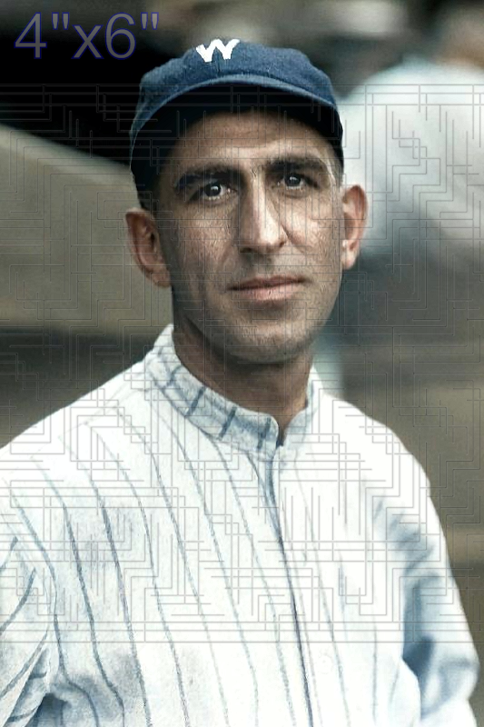 Roger Peckinpaugh - 1923 Washington Senators - choose a size & style