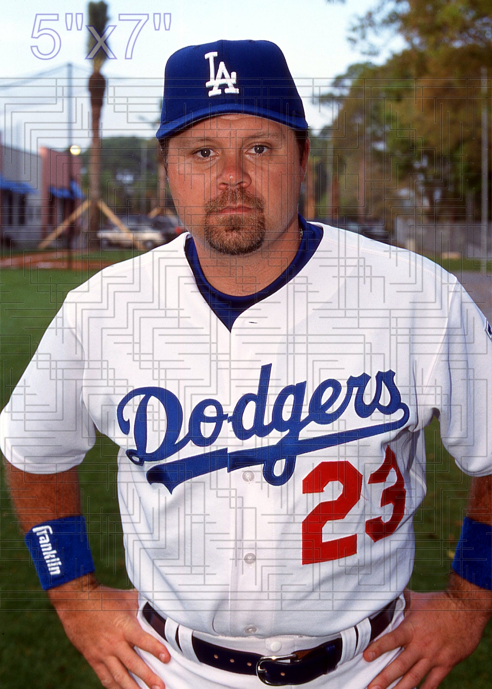 Ron Coomer - 2003 Los Angeles Dodgers - choose a size & style