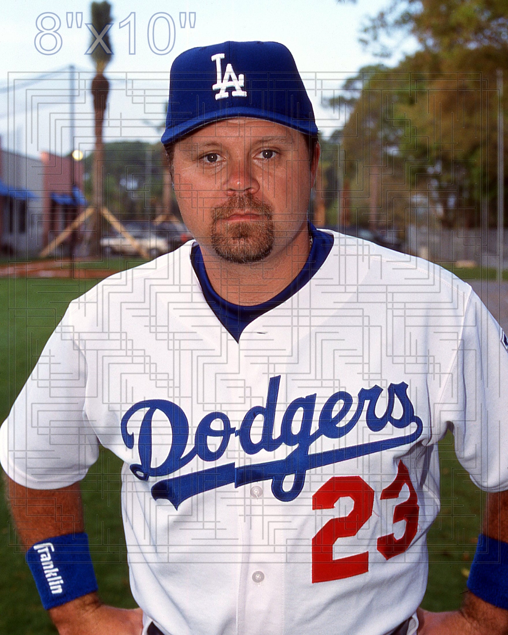Ron Coomer - 2003 Los Angeles Dodgers - choose a size & style
