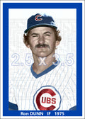 Ron Dunn - 1975 Chicago Cubs - choose a size & style