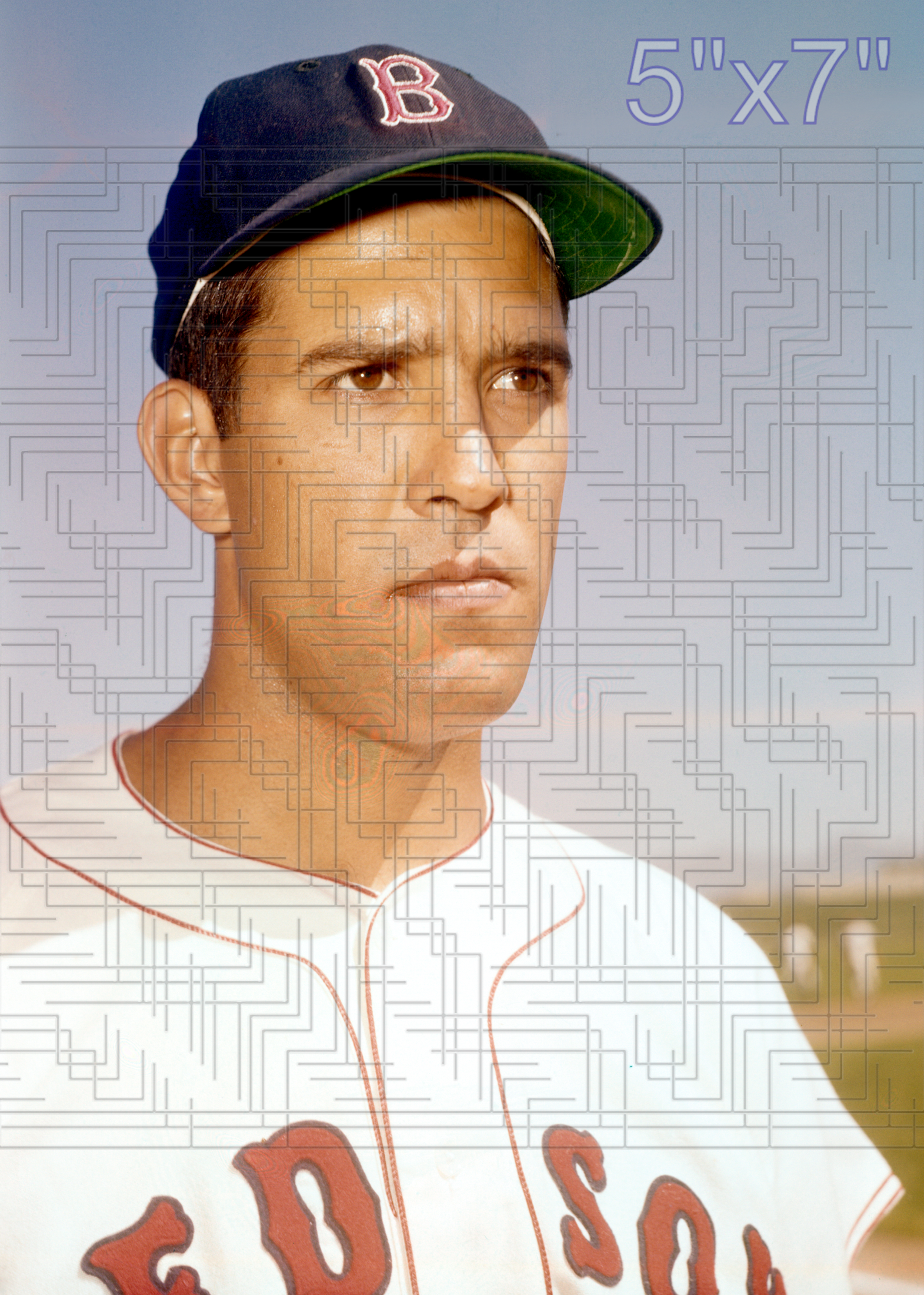 Ron Jackson - 1960 Boston Red Sox - choose a size & style