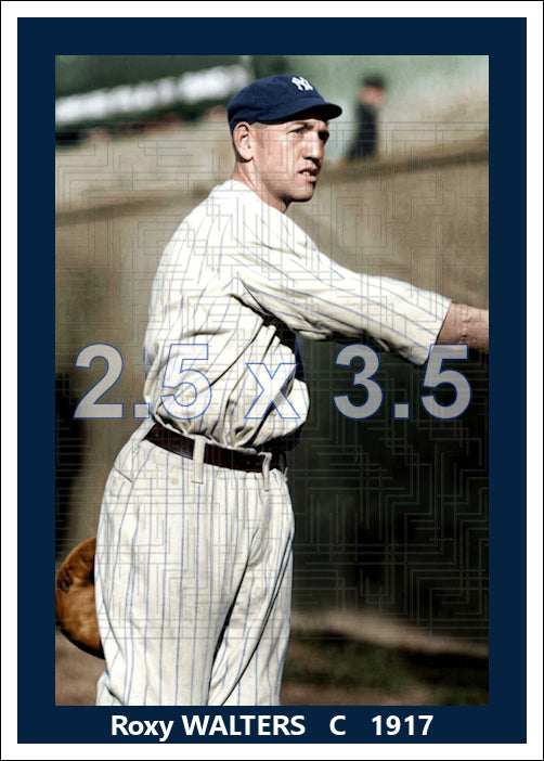 Roxy Walters - 1917 New York Yankees - choose a size & style