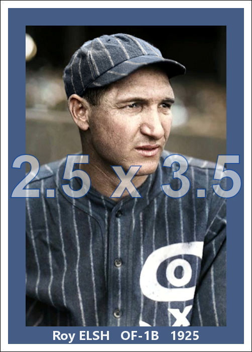Roy Elsh - 1925 Chicago White Sox - choose a size & style