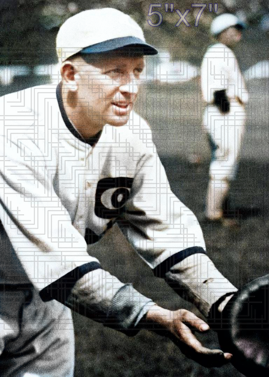 Roy Graham - 1923 Chicago White Sox - choose a size & style
