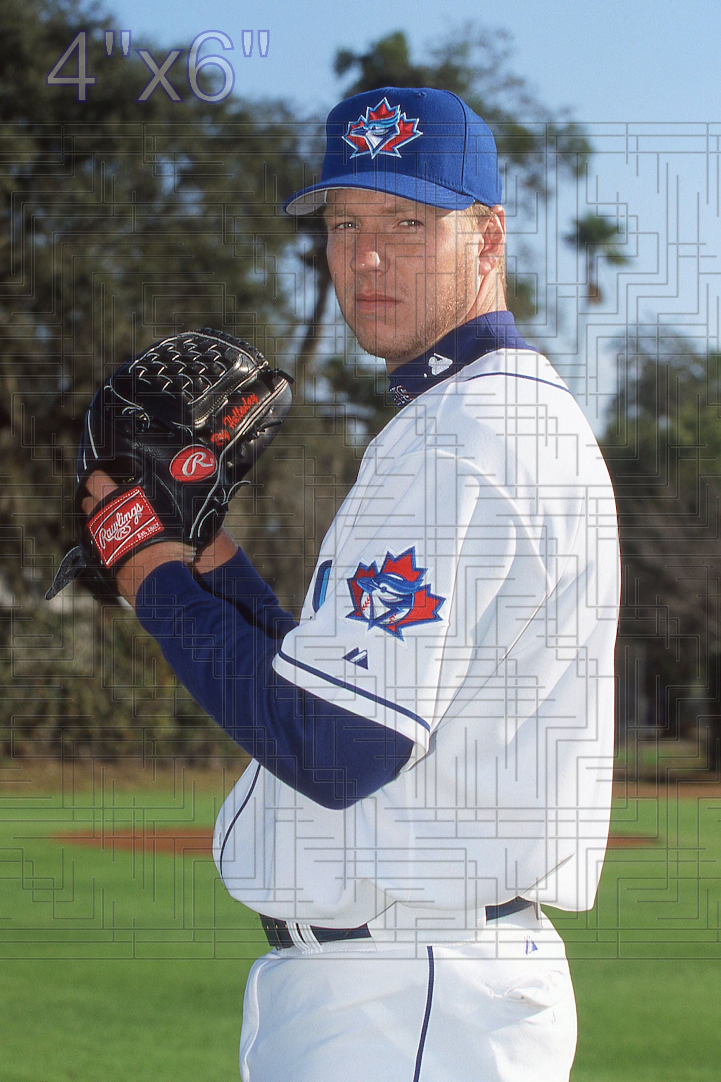 Roy Halladay - 2002 Toronto Blue Jays - choose a size & style