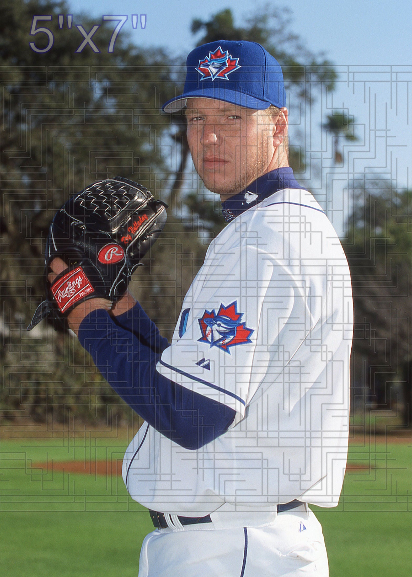 Roy Halladay - 2002 Toronto Blue Jays - choose a size & style