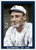 Roy Hartzell - 1916 New York Yankees - choose a size & style