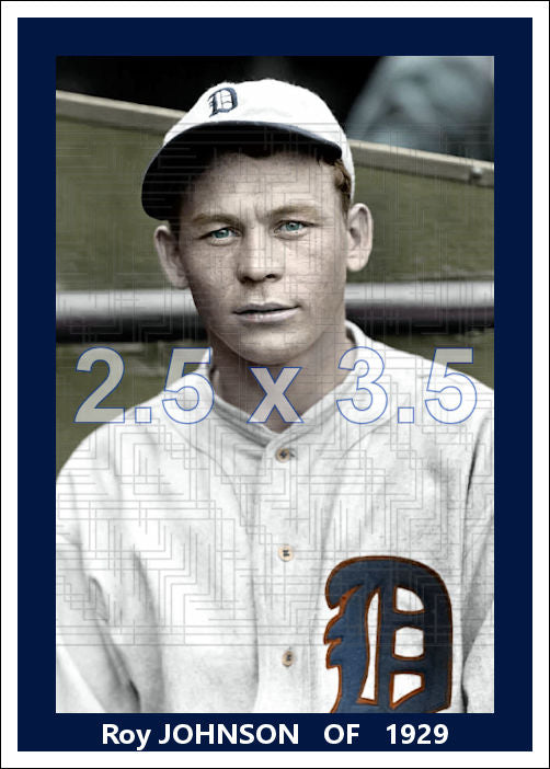 Roy Johnson - 1929 Detroit Tigers - choose a size & style