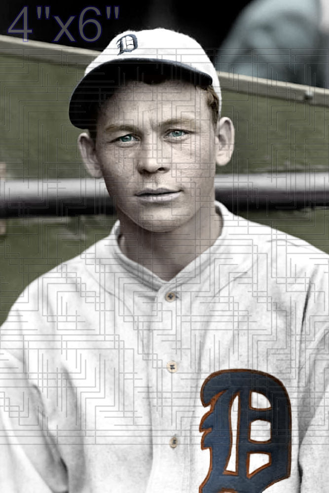 Roy Johnson - 1929 Detroit Tigers - choose a size & style