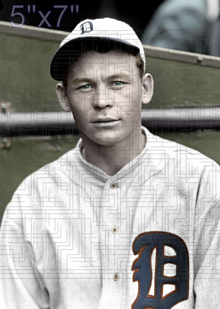 Roy Johnson - 1929 Detroit Tigers - choose a size & style