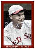 Roy Johnson - 1932 Boston Red Sox - choose a size & style