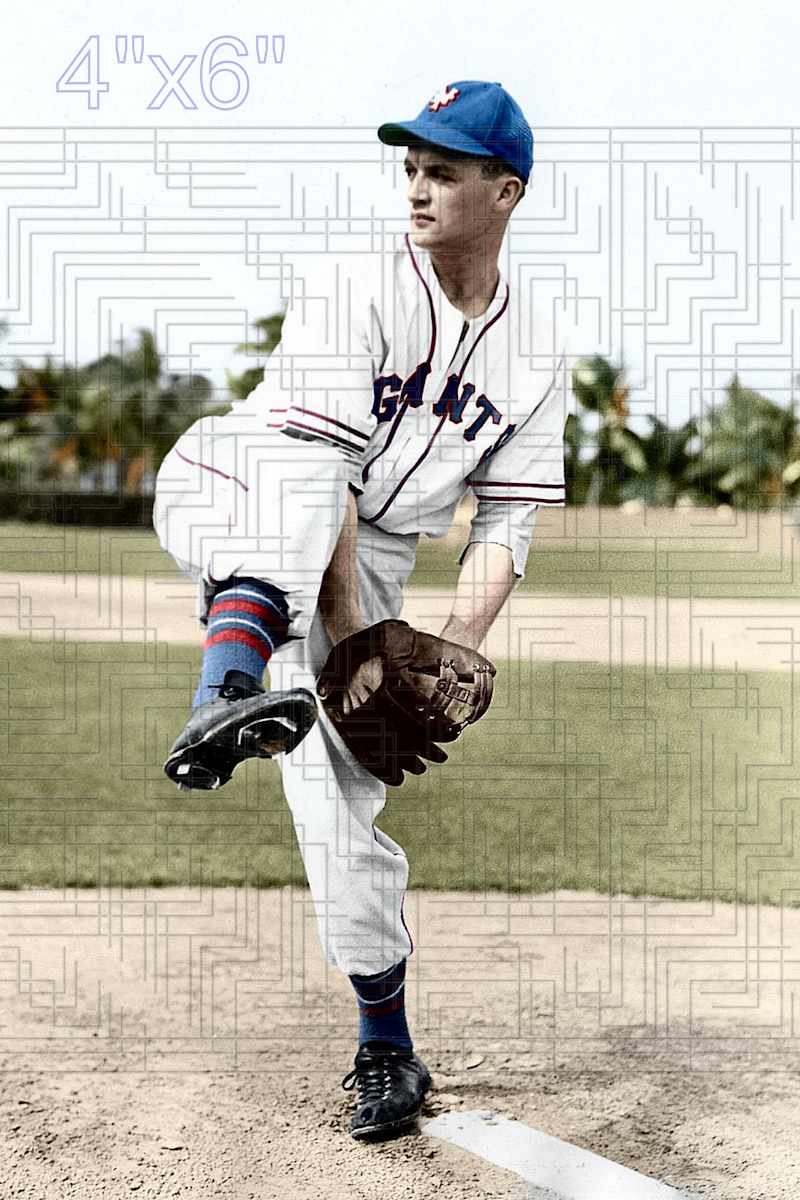 Roy Lee - 1945 New York Giants - choose a size & style