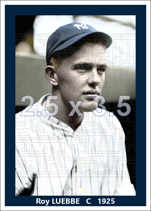 Roy Luebbe - 1925 New York Yankees - choose a size & style