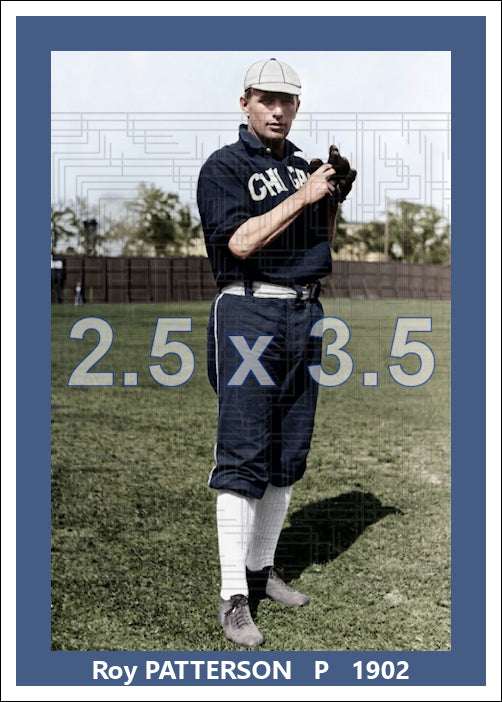 Roy Patterson - 1902 Chicago White Sox - choose a size & style