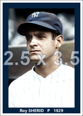 Roy Sherid - 1929 New York Yankees - choose a size & style