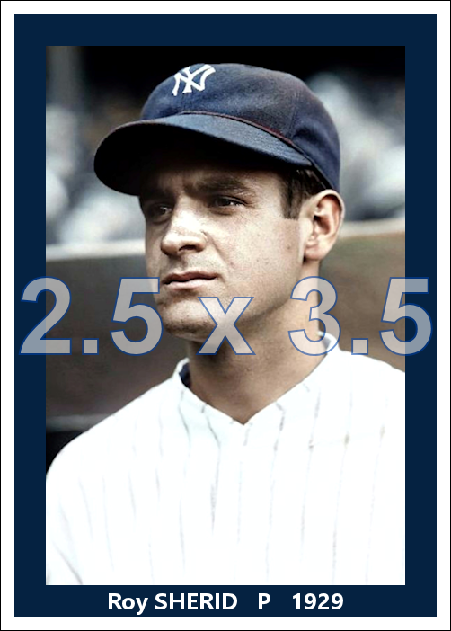 Roy Sherid - 1929 New York Yankees - choose a size & style