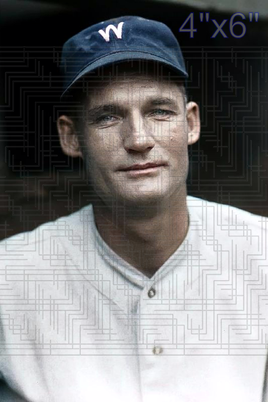 Roy Spencer - 1932 Washington Senators - choose a size & style