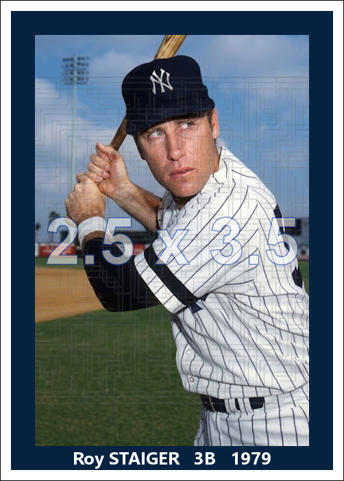 Roy Staiger - 1979 New York Yankees - choose a size & style
