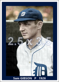 Sam Gibson - 1926 Detroit Tigers - choose a size & style