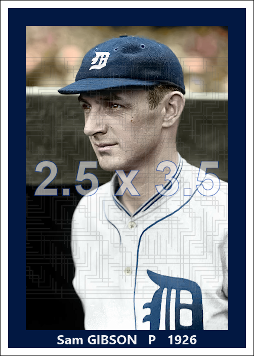 Sam Gibson - 1926 Detroit Tigers - choose a size & style