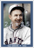 Sam Gibson - 1932 New York Giants - choose a size & style