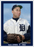 Sam Jones - 1962 Detroit Tigers - choose a size & style