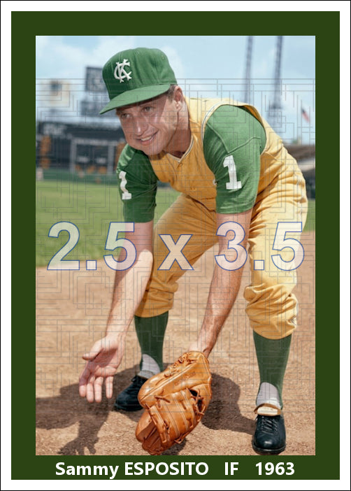 Sammy Esposito - 1963 Kansas City Athletics - choose a size & style