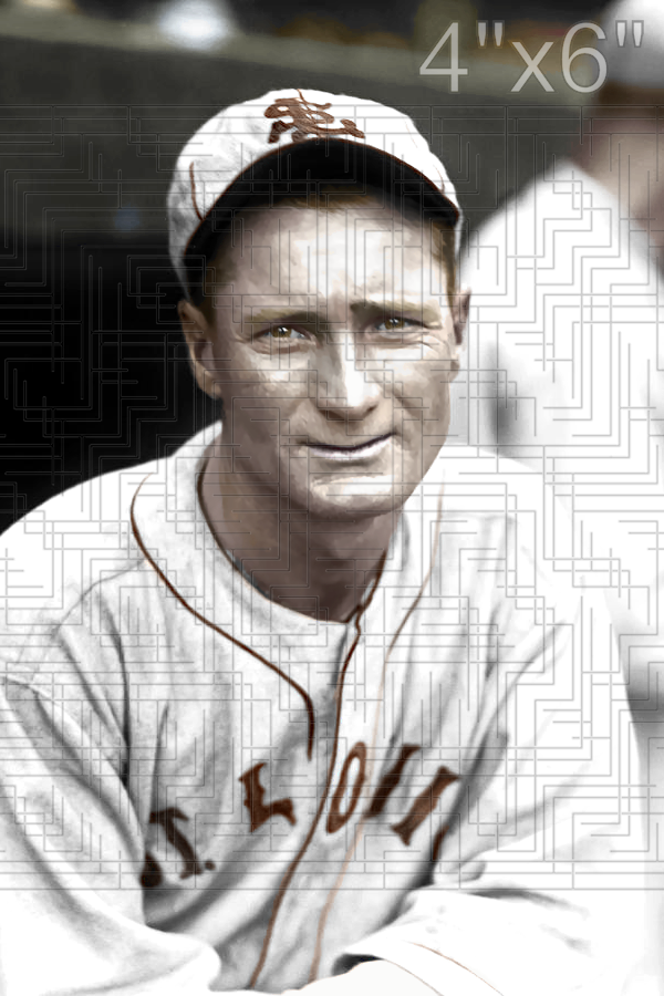 Sammy Hale - 1930 St. Louis Browns - choose a size & style