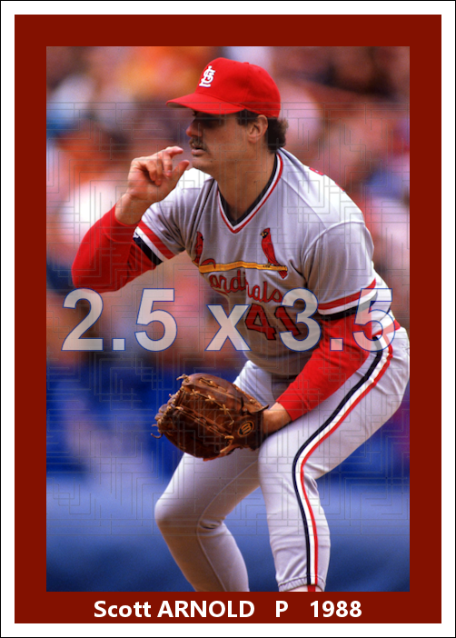 Scott Arnold (pose A) - 1988 St. Louis Cardinals - choose a size & style