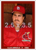 Scott Arnold (pose B) - 1988 St. Louis Cardinals - choose a size & style