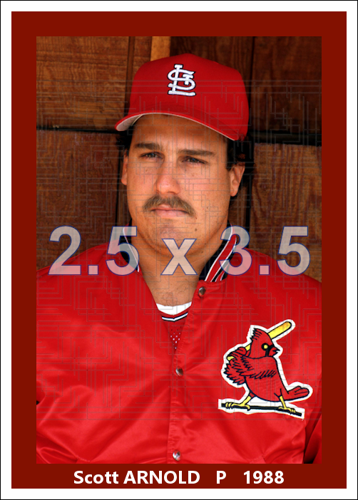 Scott Arnold (pose B) - 1988 St. Louis Cardinals - choose a size & style